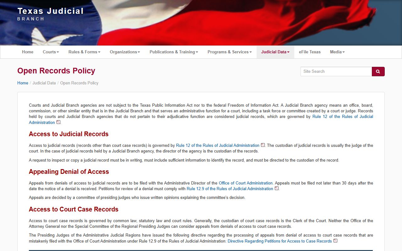Denton County public records Texas Judicial Branch Rule 12 open records policy page