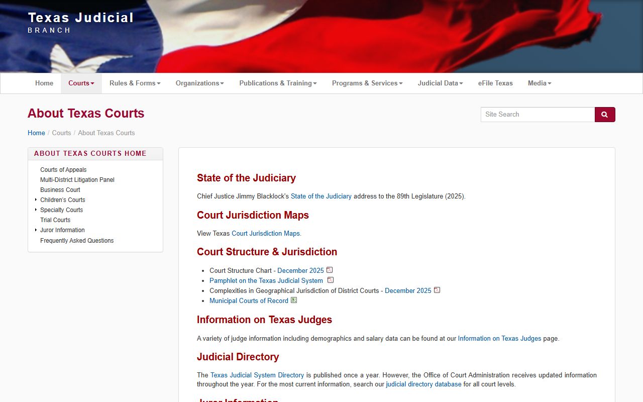 Denton County district court hierarchy in the Texas Judicial Branch court structure
